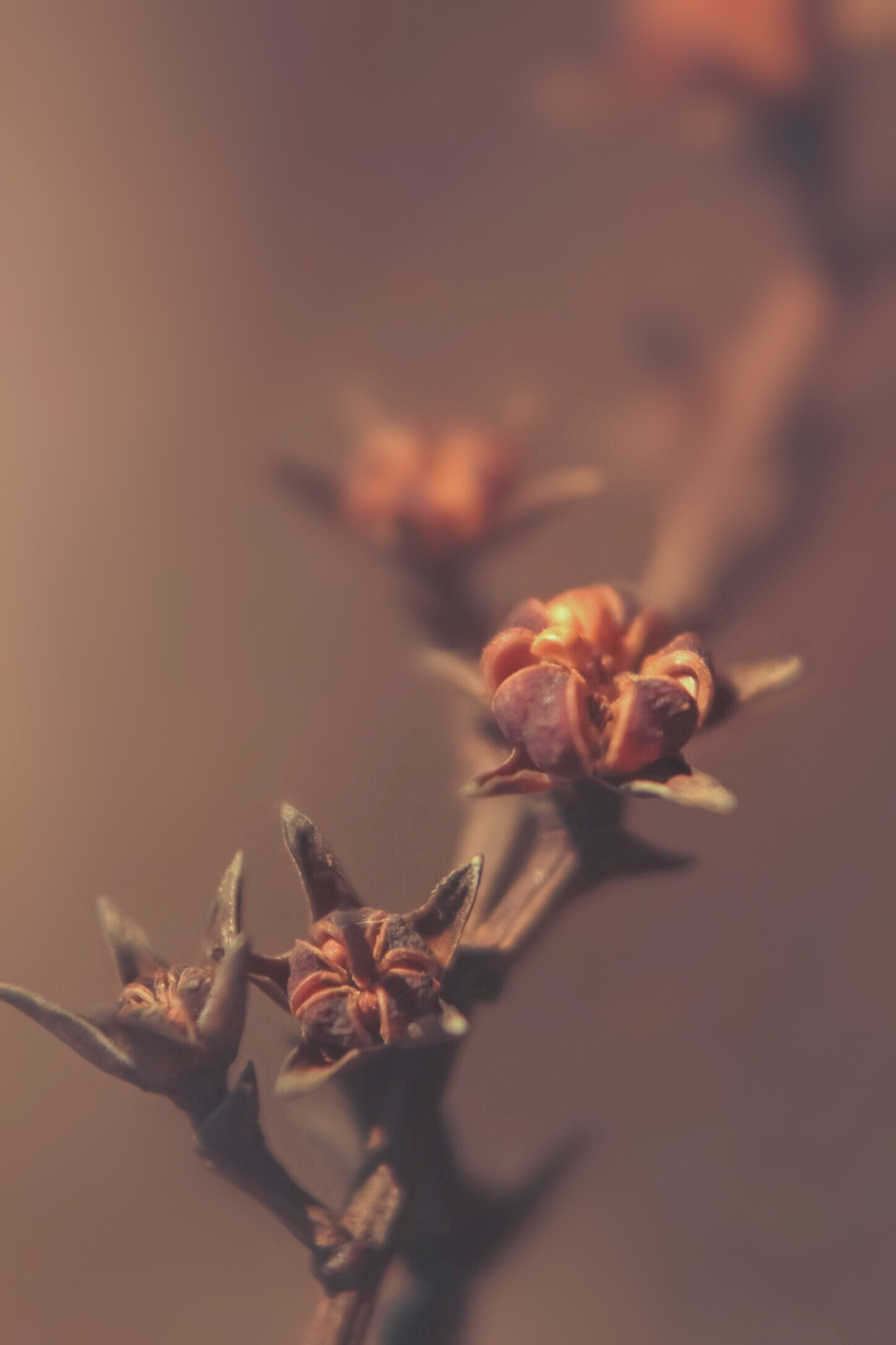 93A16ABF-ADBA-4874-8A5C-F775248D2287.jpeg