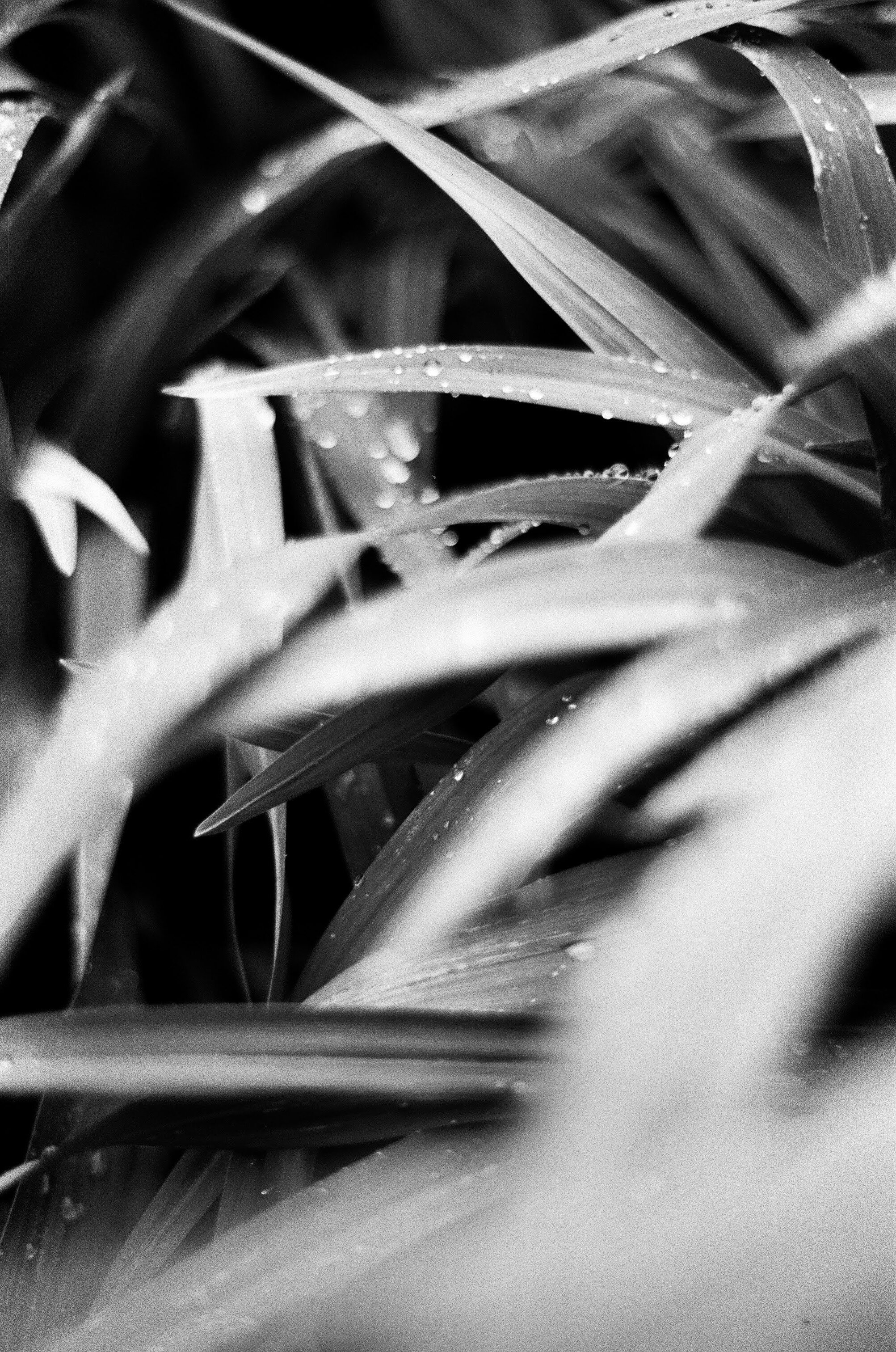 860EC3A8-6C4F-4F41-B3C9-4257C0646CF6.jpeg