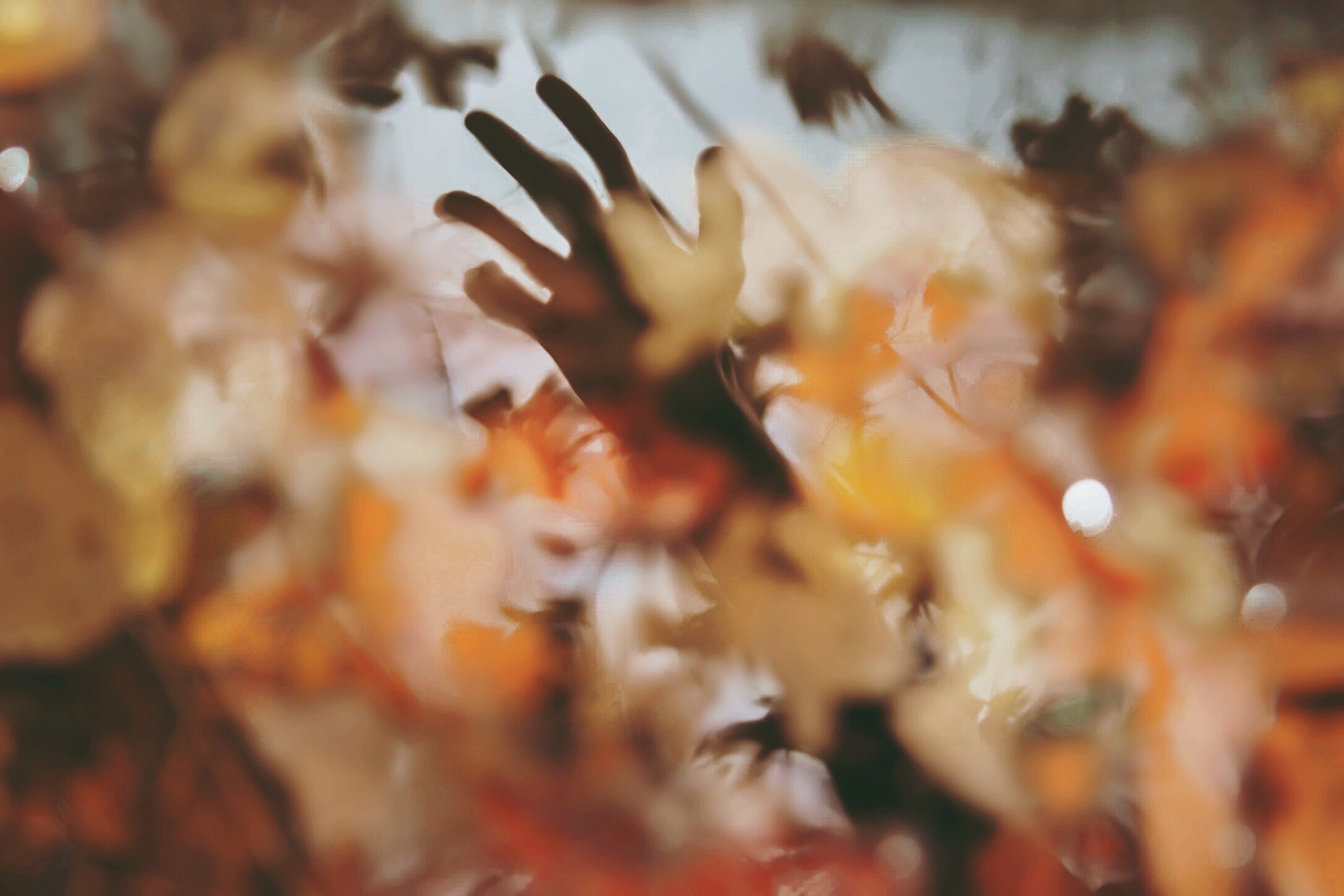 6D05412A-7F57-457A-B3E1-13FFAEDEE746.jpeg