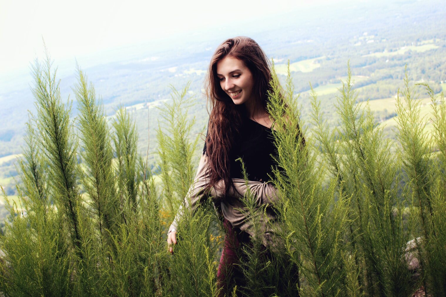 Sky Meadow