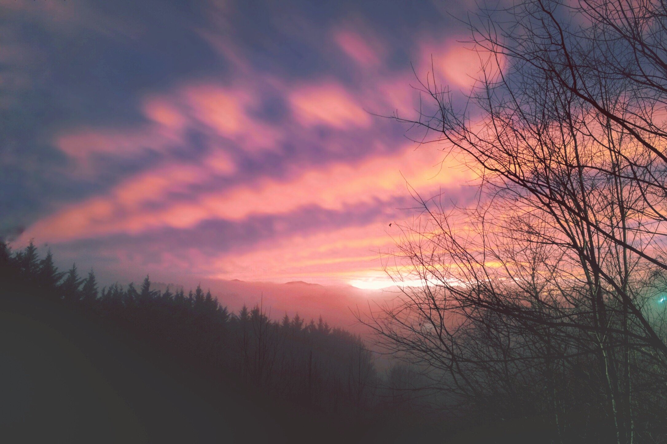 F895B31C-76D0-4771-B7C9-96967C8EF7DB.jpeg