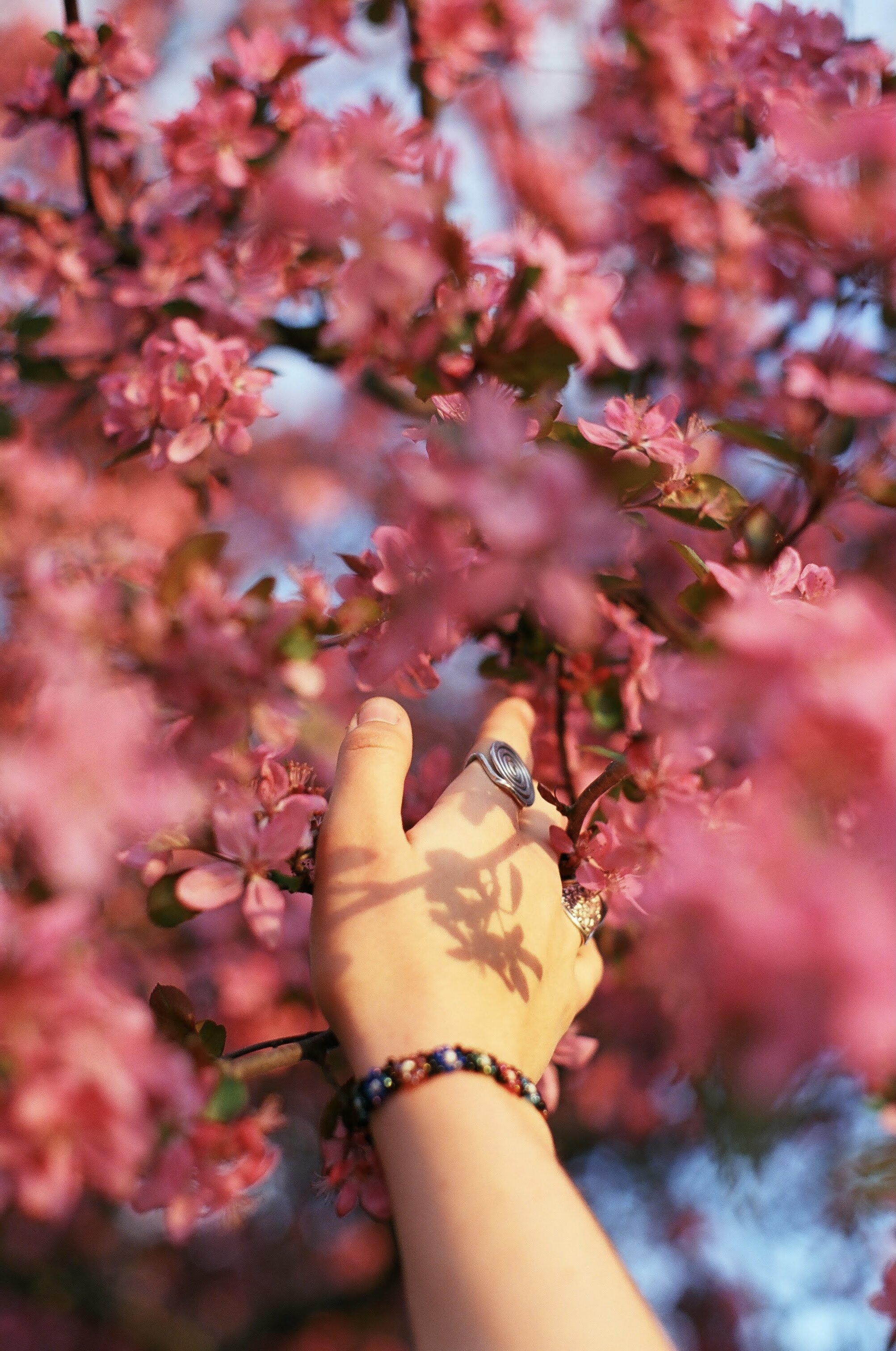 50D71B80-D707-4FA4-A1CF-D18792F4BAFE.jpeg