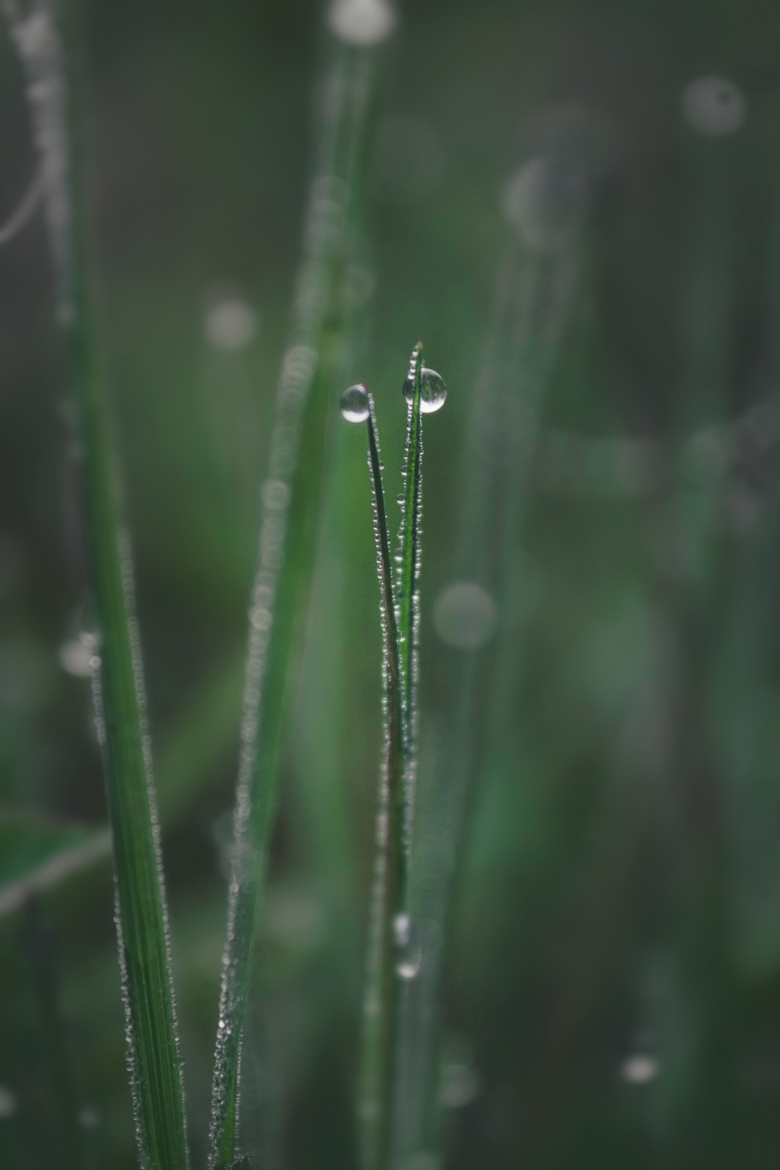 8C8D2157-AEDB-4D61-B020-55DBFB058927.jpeg