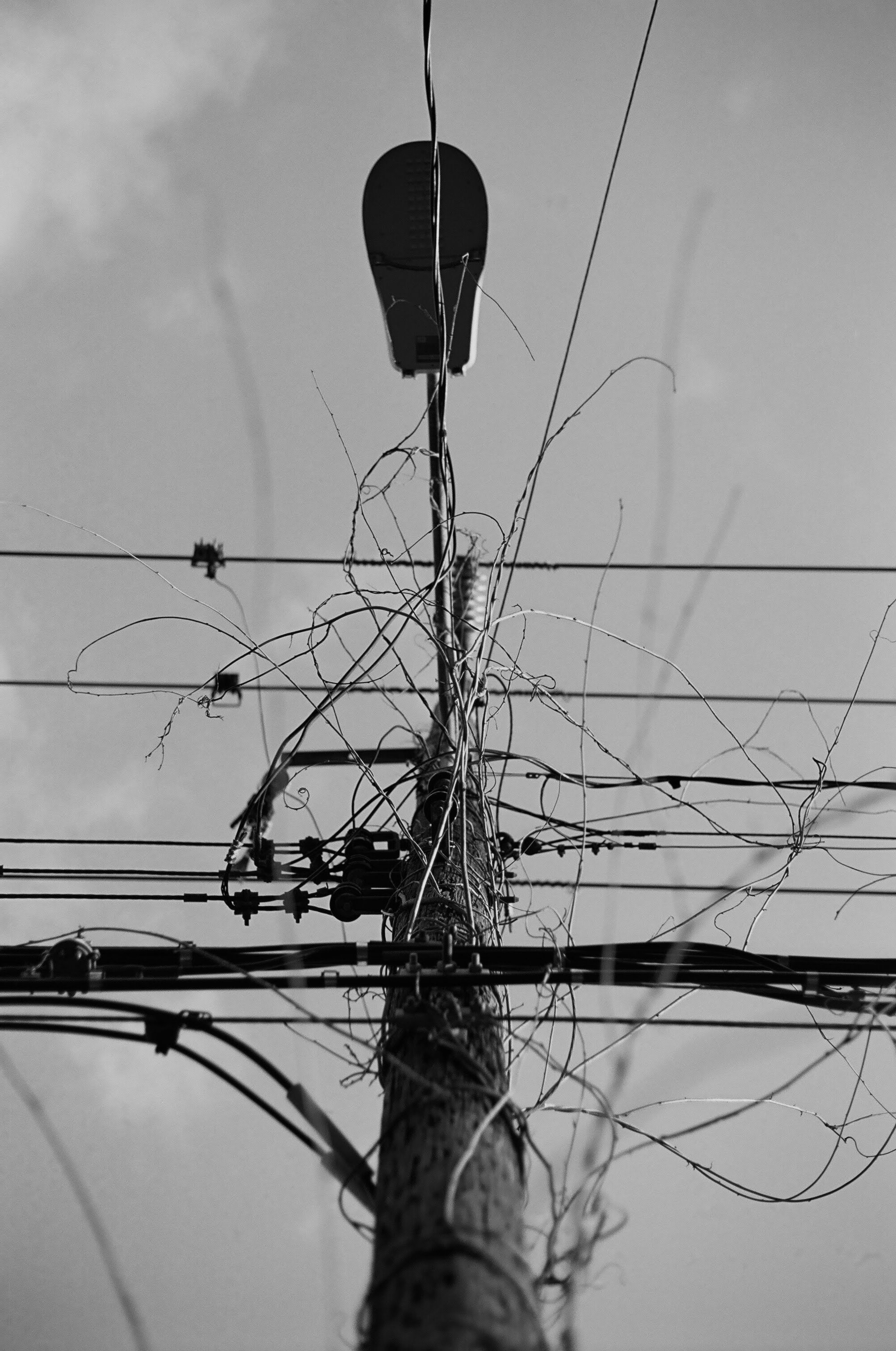 251DAF23-1455-457E-B558-4D5C223673E3.jpeg