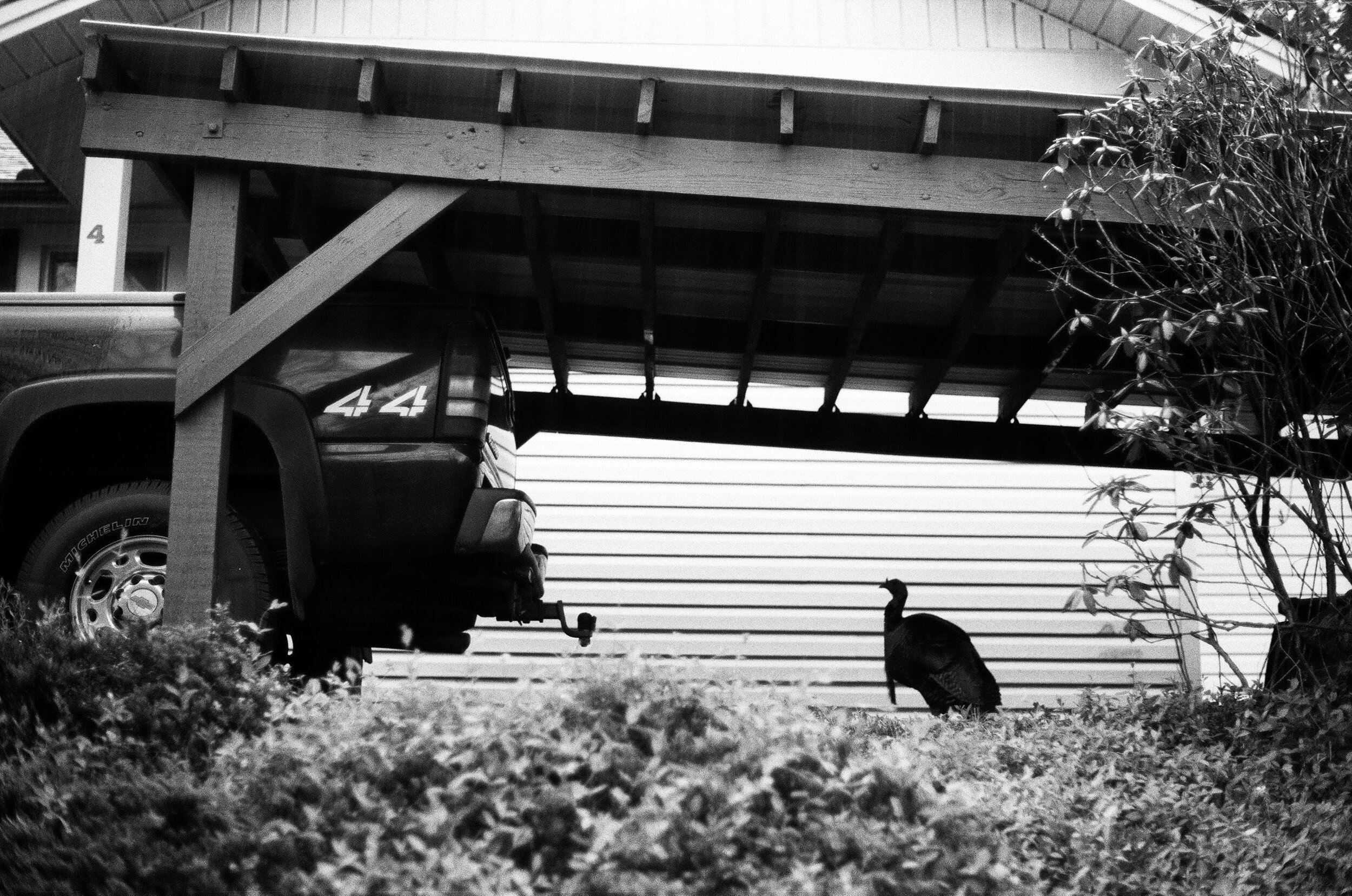 4DC774BD-D60D-492E-B869-8C04CED3FFC8.jpeg