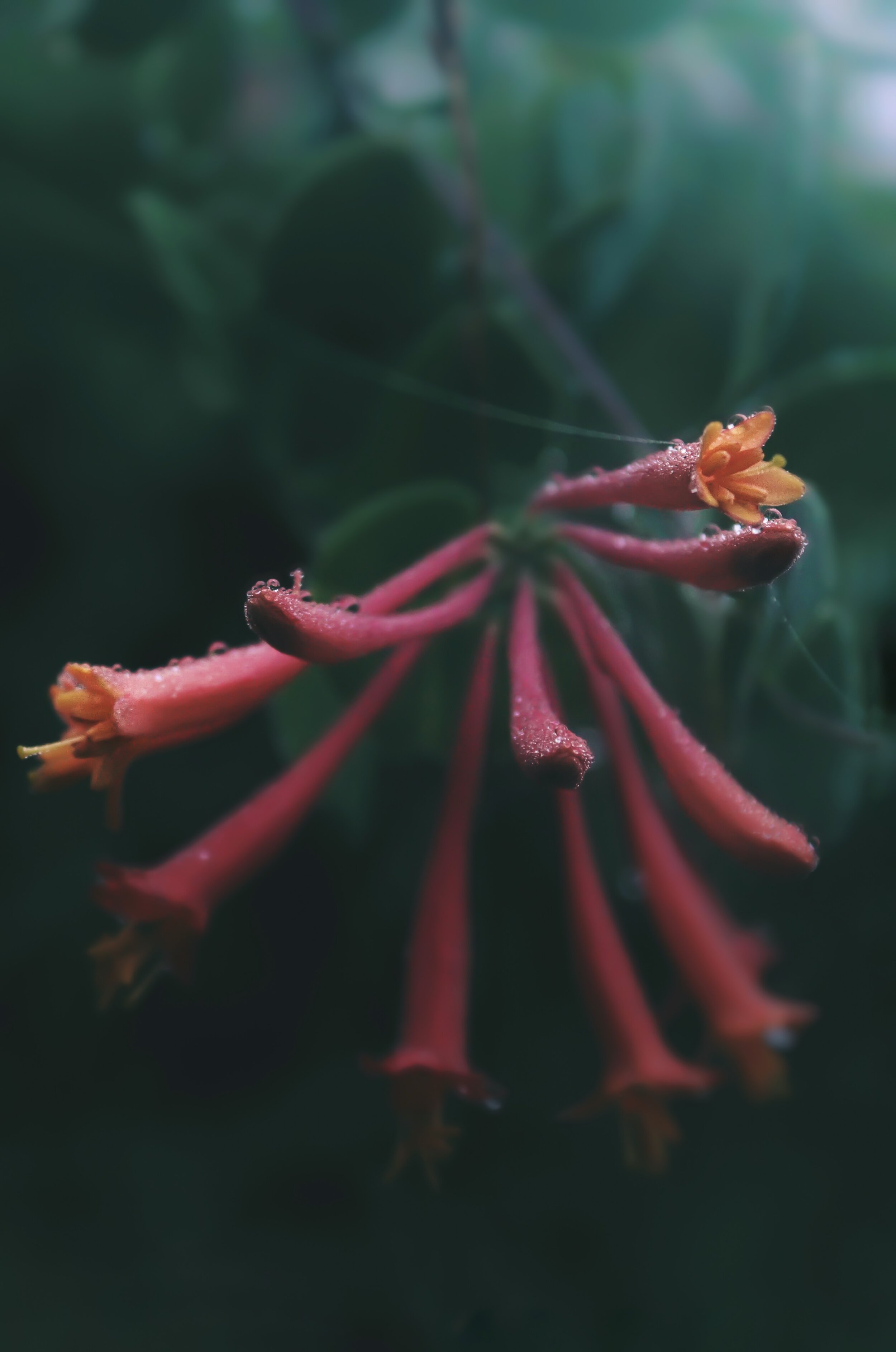 3B408219-C854-460A-88E8-7B0CE3DBFC95.jpeg
