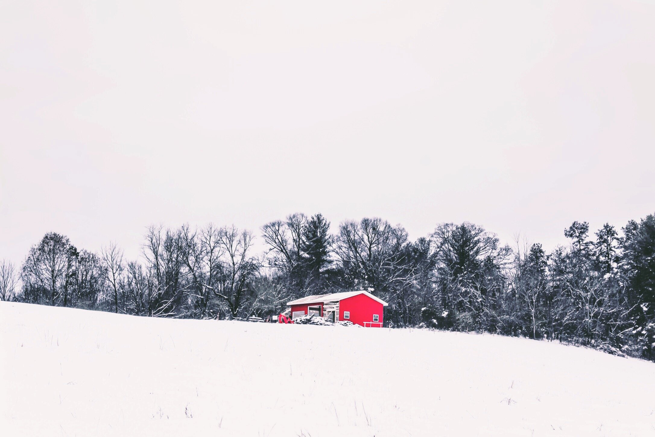 DE49F9BF-6BDF-4AE3-B750-6893413AD2E5.jpeg