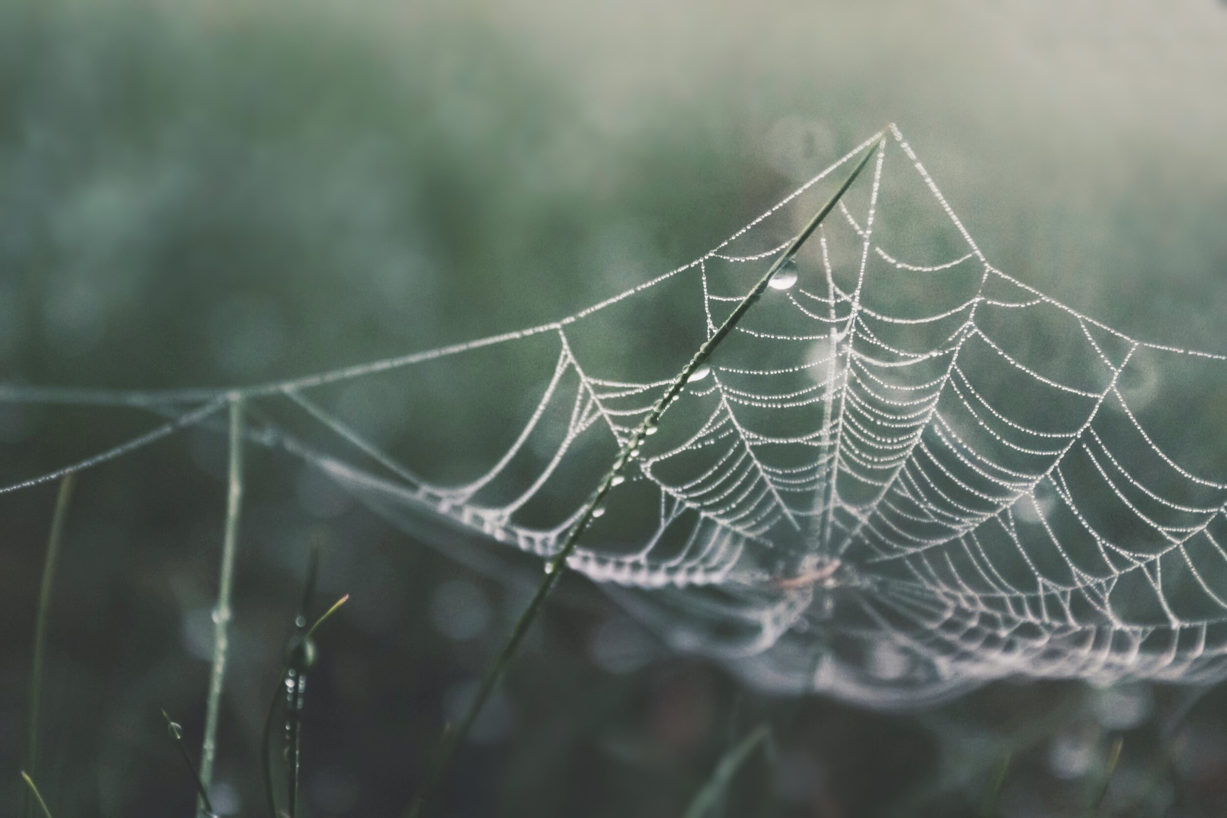 3D4439A6-AE3A-462E-A14C-319A72D4C60D.jpeg