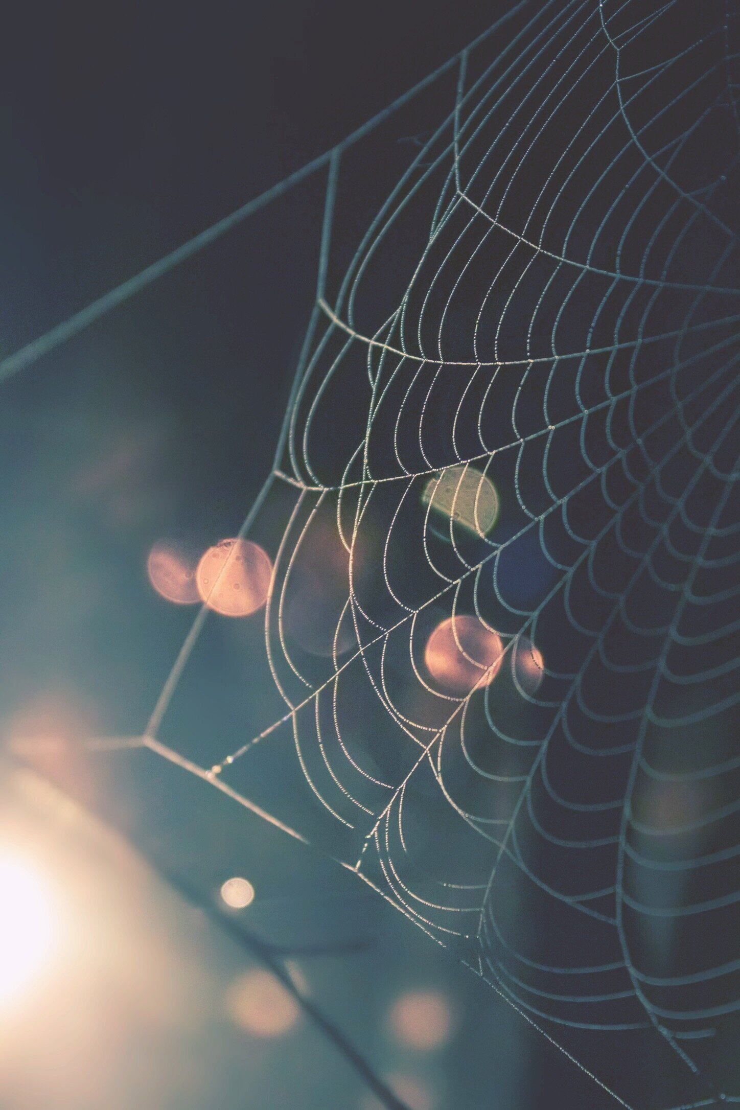 80803F76-143C-4688-91DF-56C19D112084.jpeg