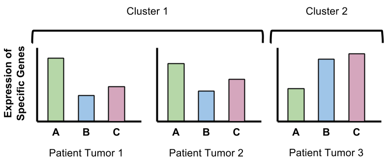 gene-expression-profile.png