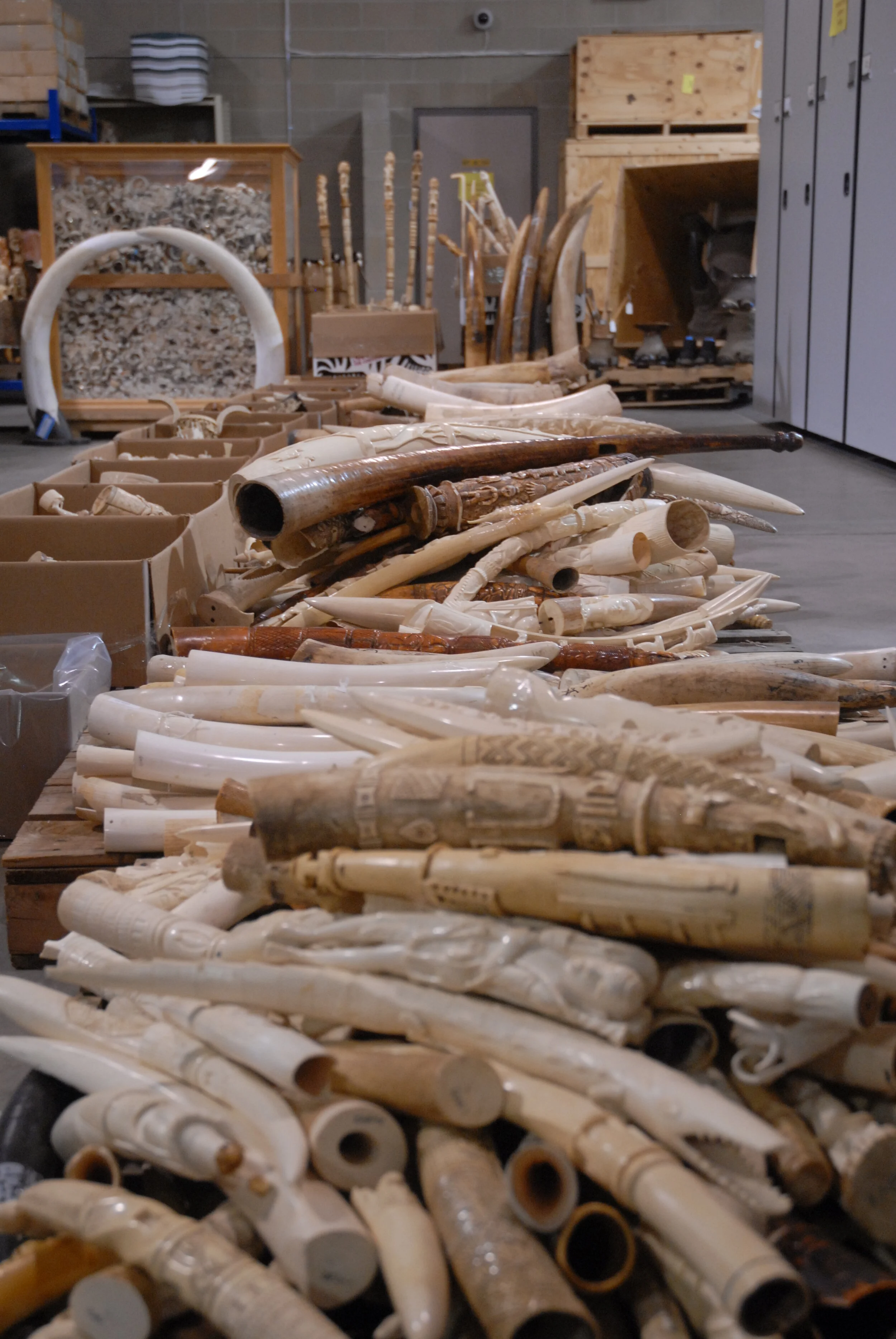 Carved_ivory_tusks.jpg