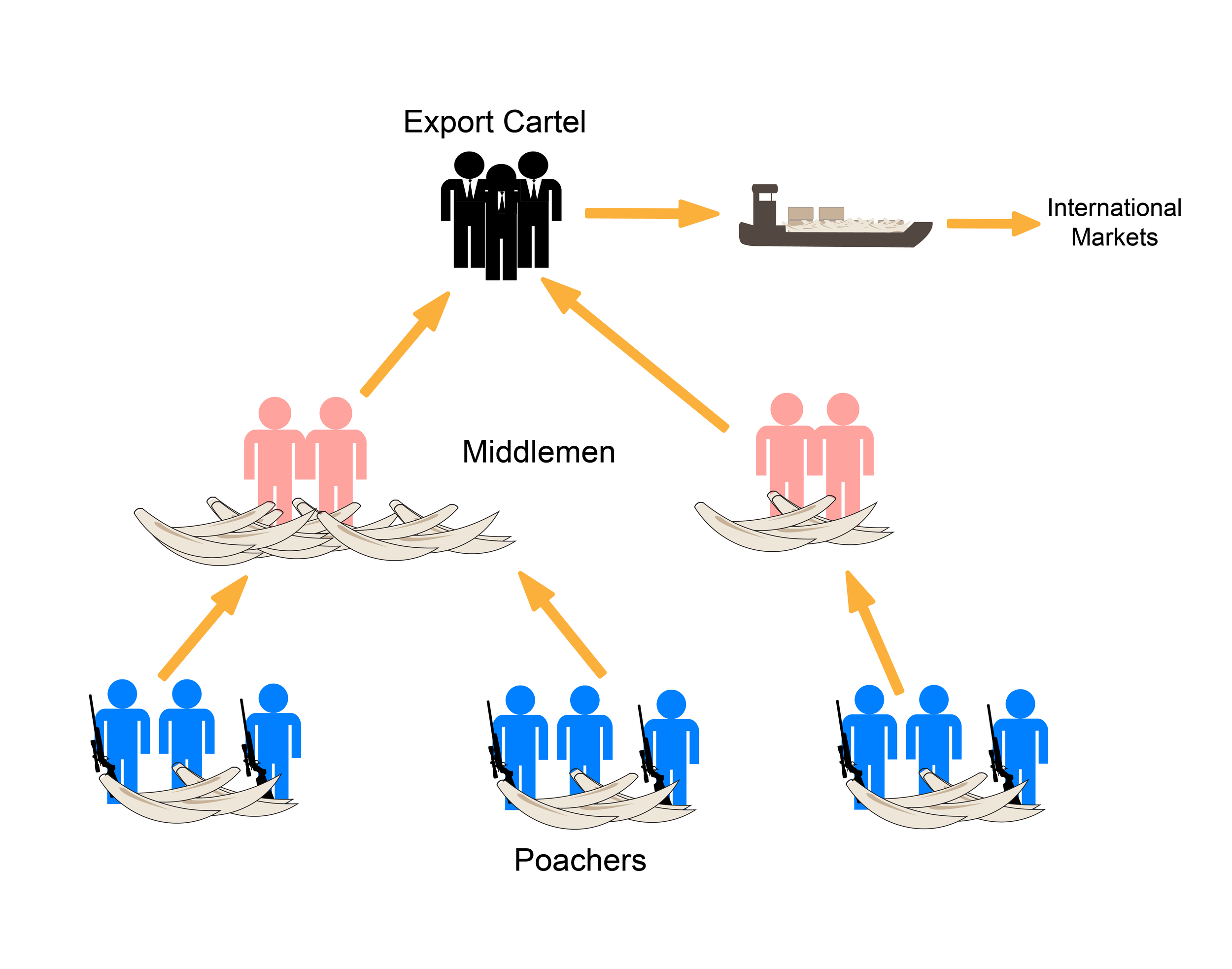 Ivory Trafficking structure article-01.png