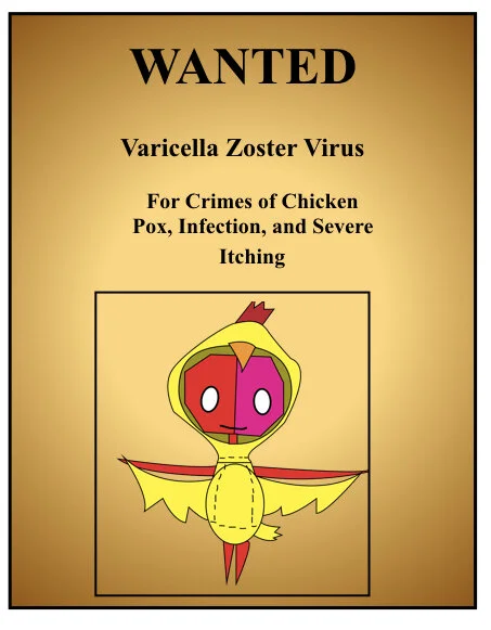 CHICKENPOX TO SHINGLES: YOUNG TO OLD AND HOW VACCINES CHANGED THE 