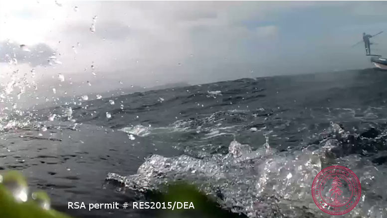 Photo credits: mn151106-4, a Humpback whale.