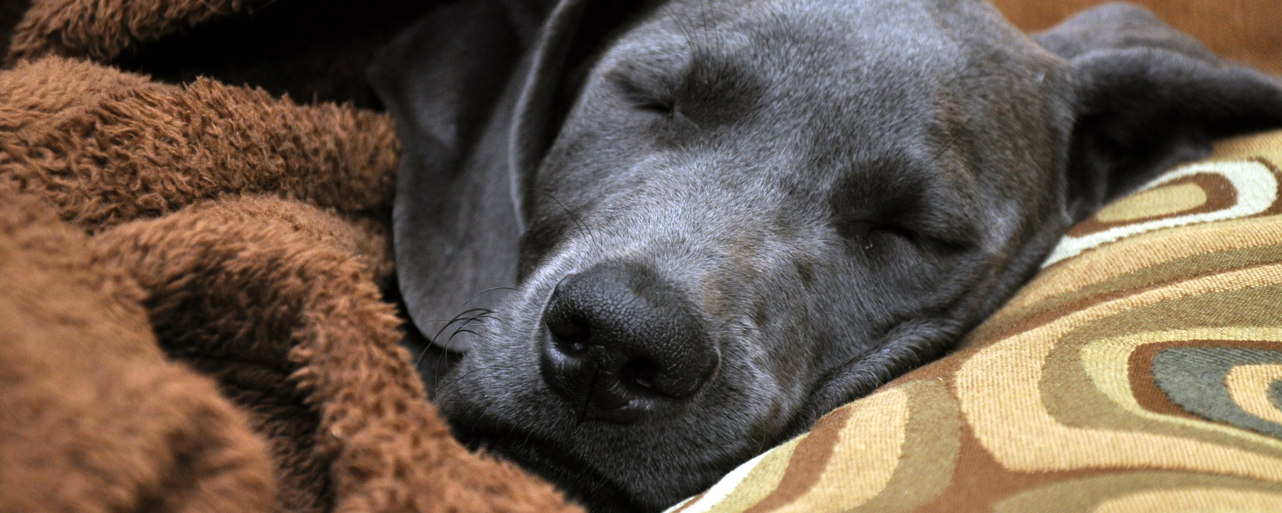 Photo credit: Jonathan Willier