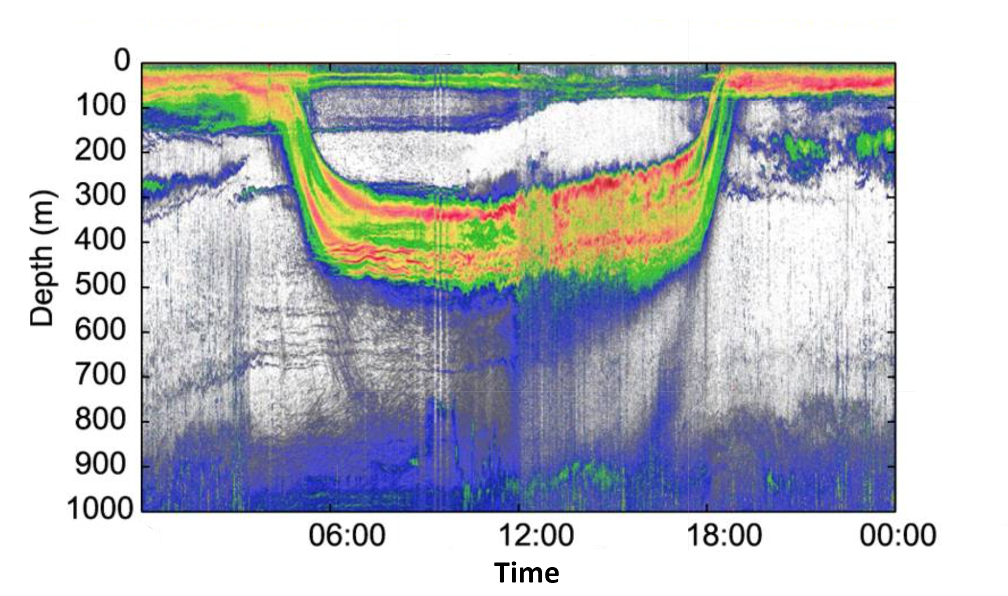 Figure 3: An echogram produced using modern scientific sonar equipment showing a single migration cycle of micronekton. Warmer colors are stronger echoes and cooler colors are weaker echoes. Notice that within the layers there is complex structure, demonstrated by the variety of colors, that was not observable using early sonar technology. Figure modified from Klevjer et al. 2016.