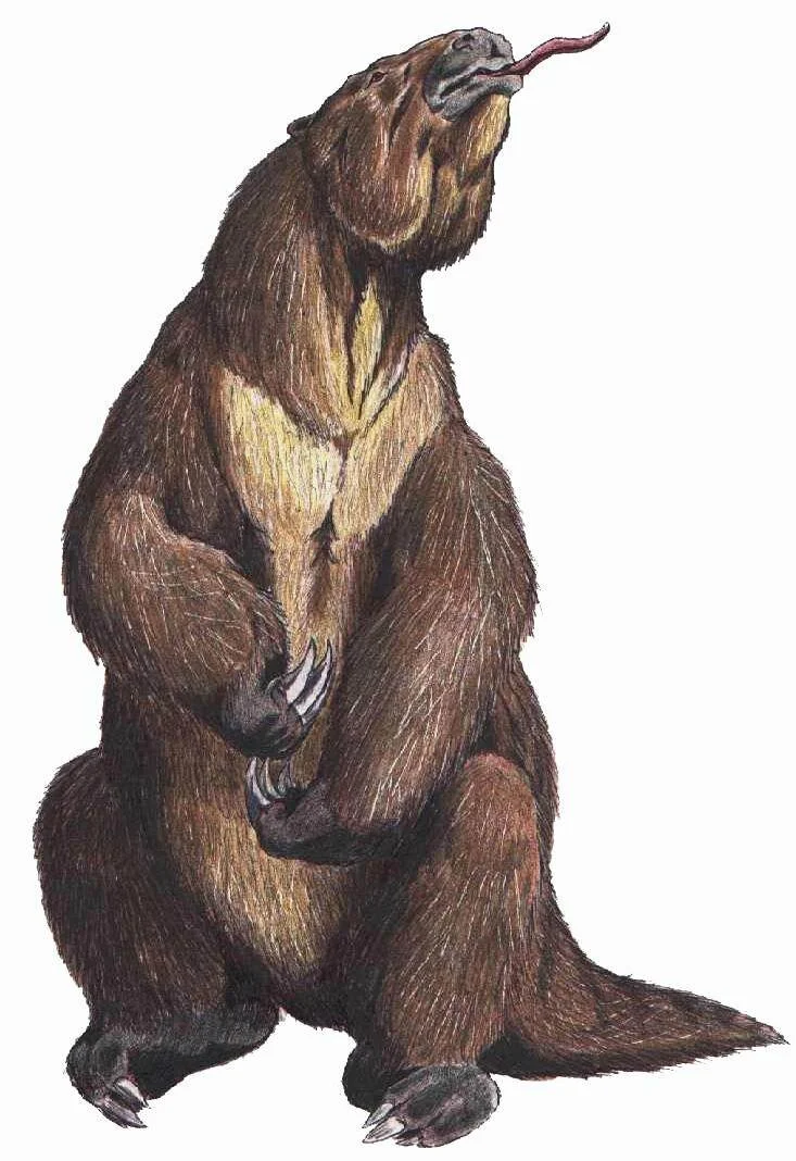 Giant Ground Sloth