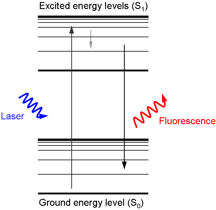 Figure 2: Diagram of how fluorescence works!