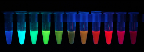 Figure 3: Panel of fluorescent proteins!