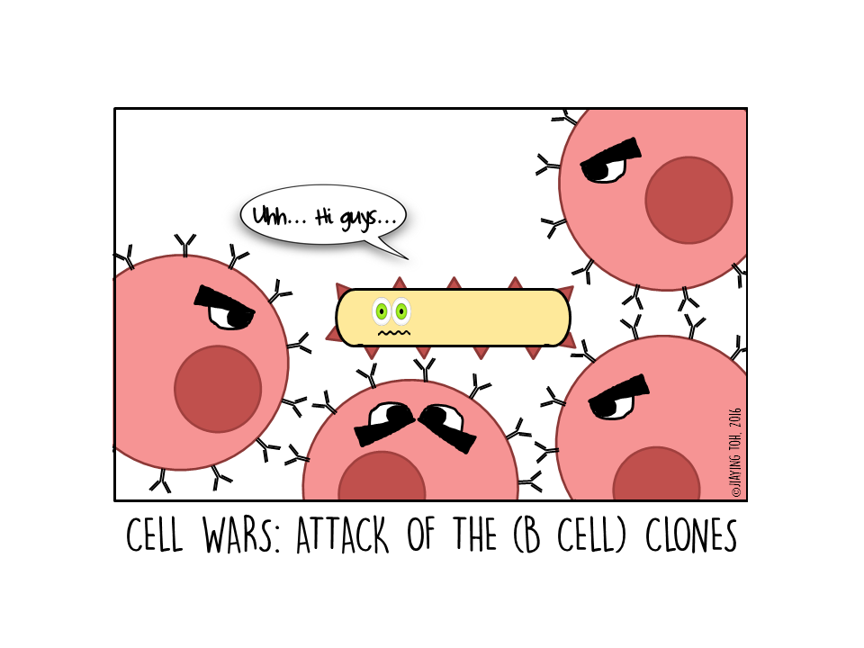 attack-of-the-b-cell-clones.png