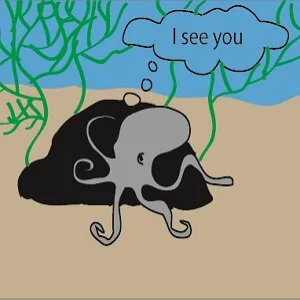 octopus vision thumbnail.jpg