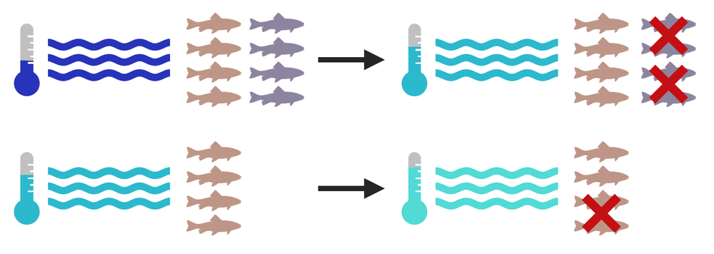 WHAT IS (AND WHAT ISN’T) EVOLUTION — The Dish on Science