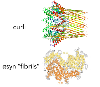 (top) from Willyard, Nature 2021; (bottom) Tau2020 Global Conference