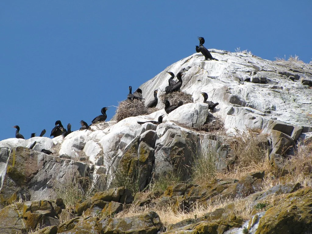 Nitrogen and Phosphorus: From Fossil to Fertilizer to Food