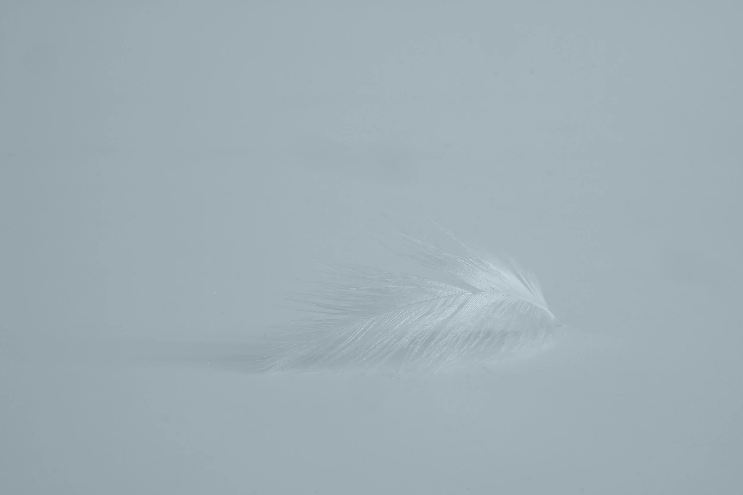 When Your Soul Begins to Whisper