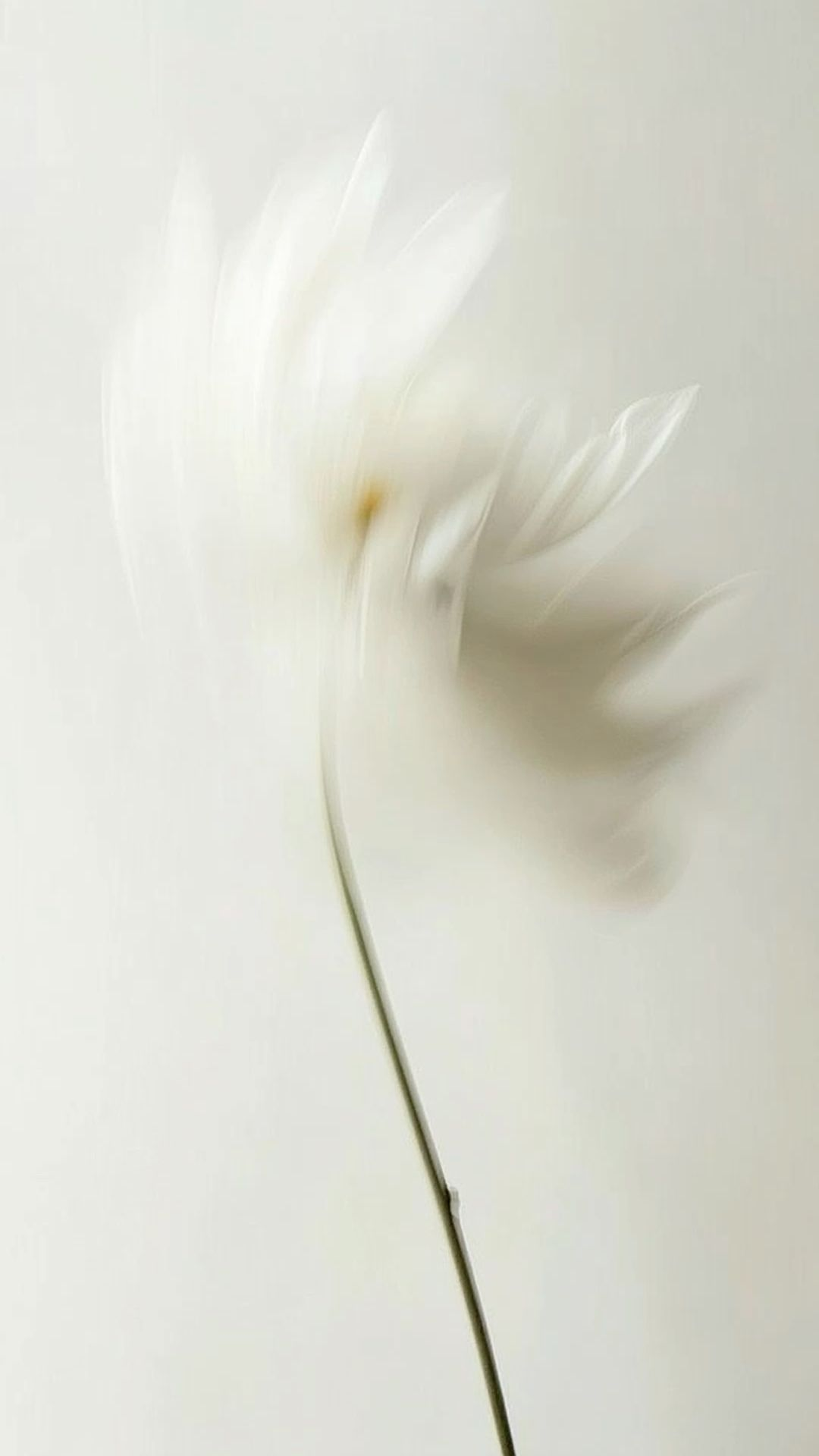 Soul Signals