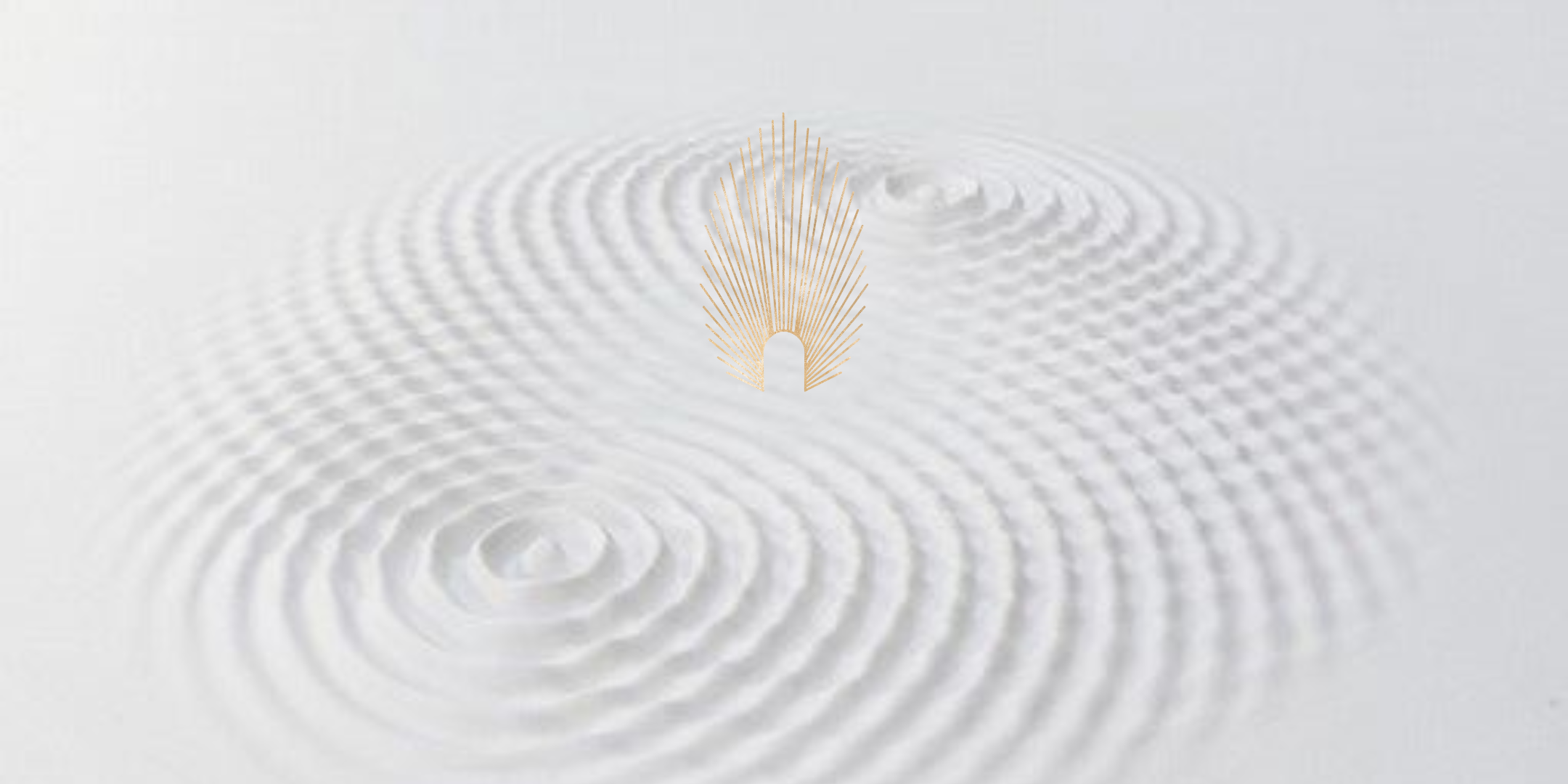 The Origin of Heartfield | The Heart is a Field of Intelligence