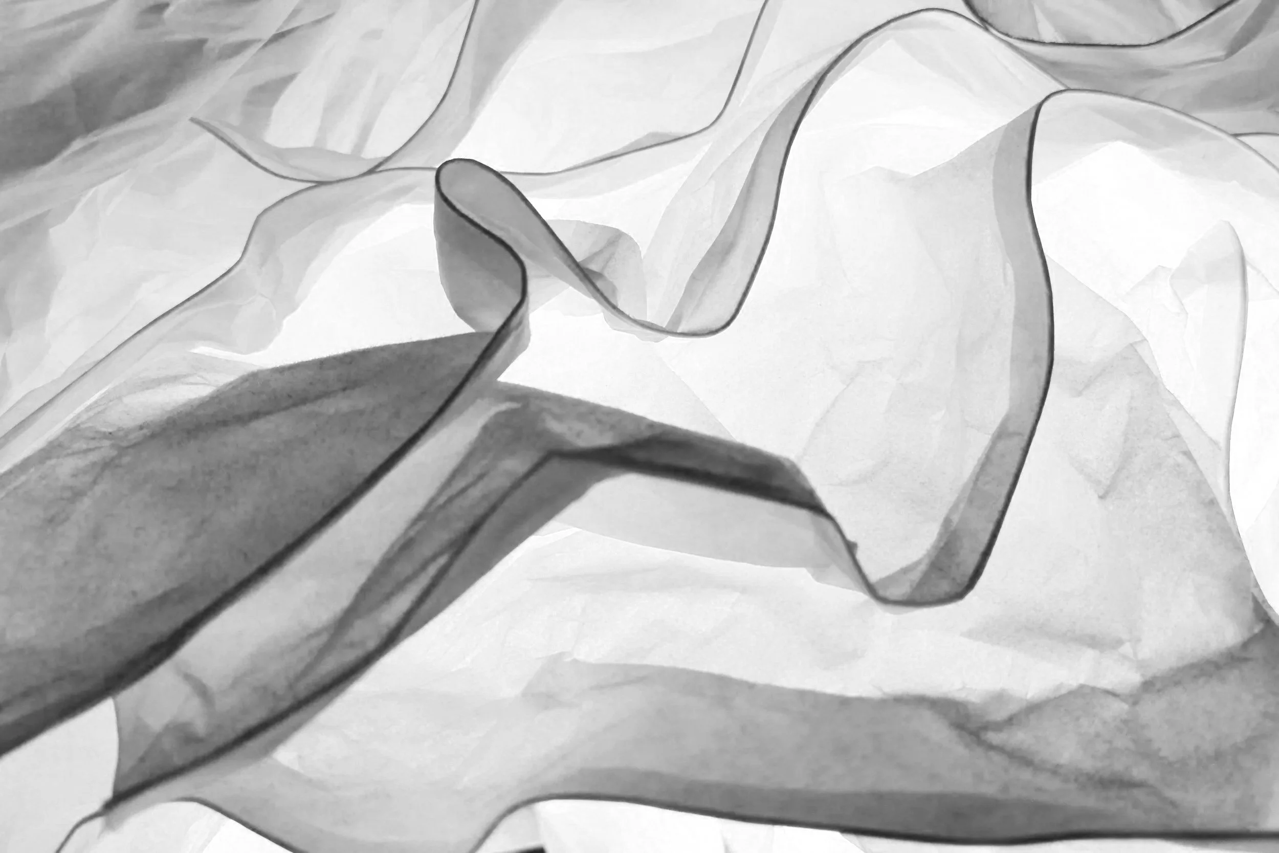 BreathBody — To Be Moved by life