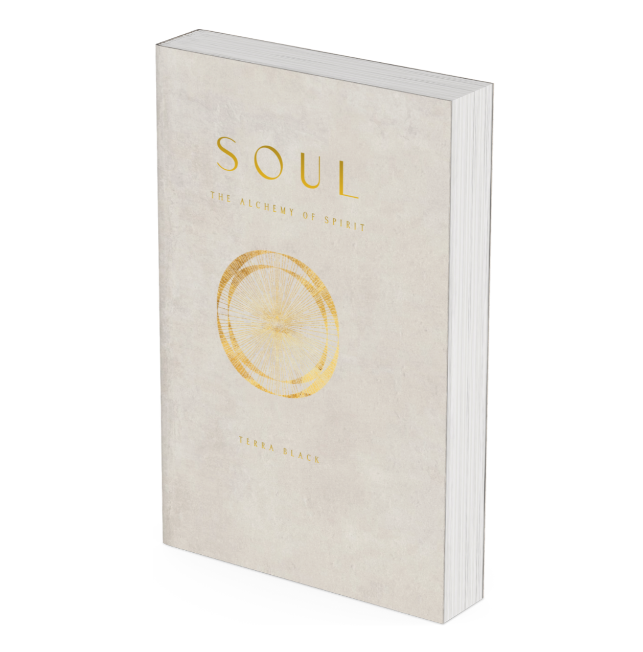 A book titled 'Soul: The Alchemy of Spirit' by Terra Black, with a white cover featuring a gold circular design.