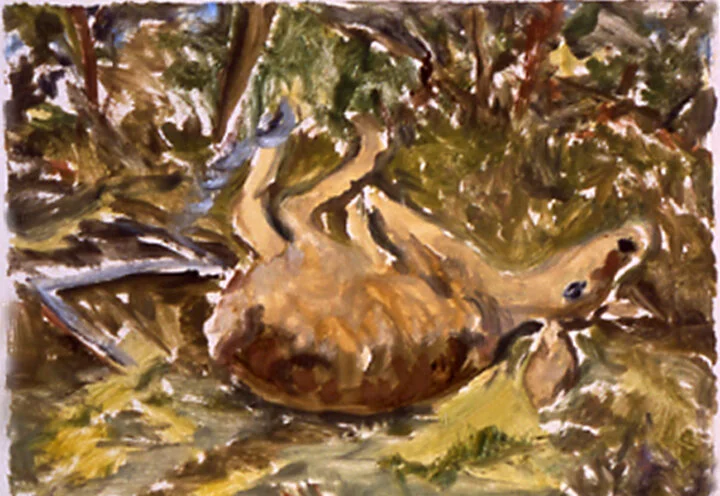 Leg Hold Trap #5.   monotype.  6” x 8”