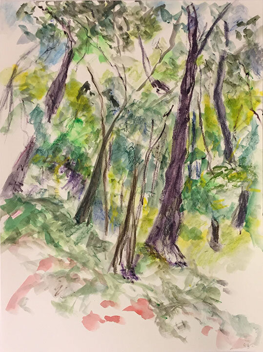 W 8-3-2.        watercolor and colored pencil     12 x 9 in     