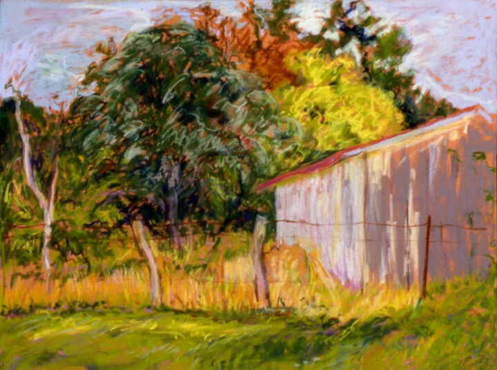 From the Studio, Virginia, #5, 19.5 x 25.5 in.