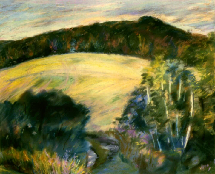 Yellow Meadow, 19 x 23 in.