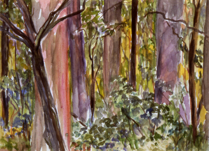 Georgia Trees, #11       watercolor       9 x 12. in.