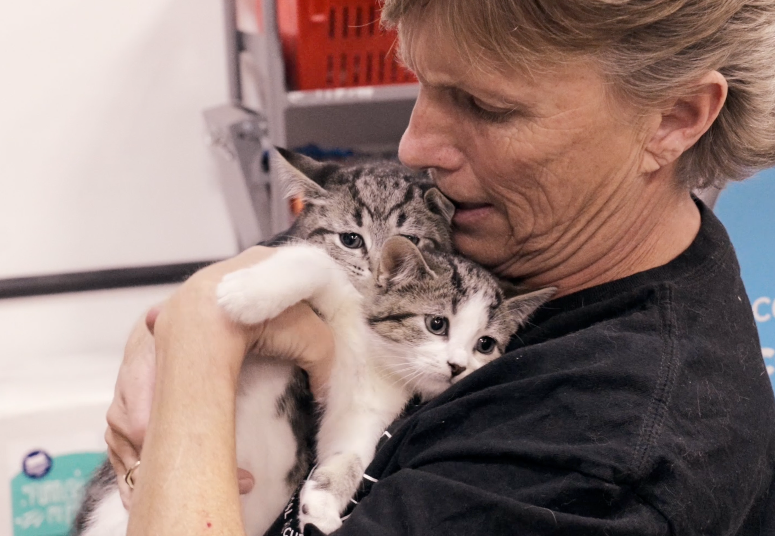 Paws🐾 for a moment as you experience compassion on a whole new level