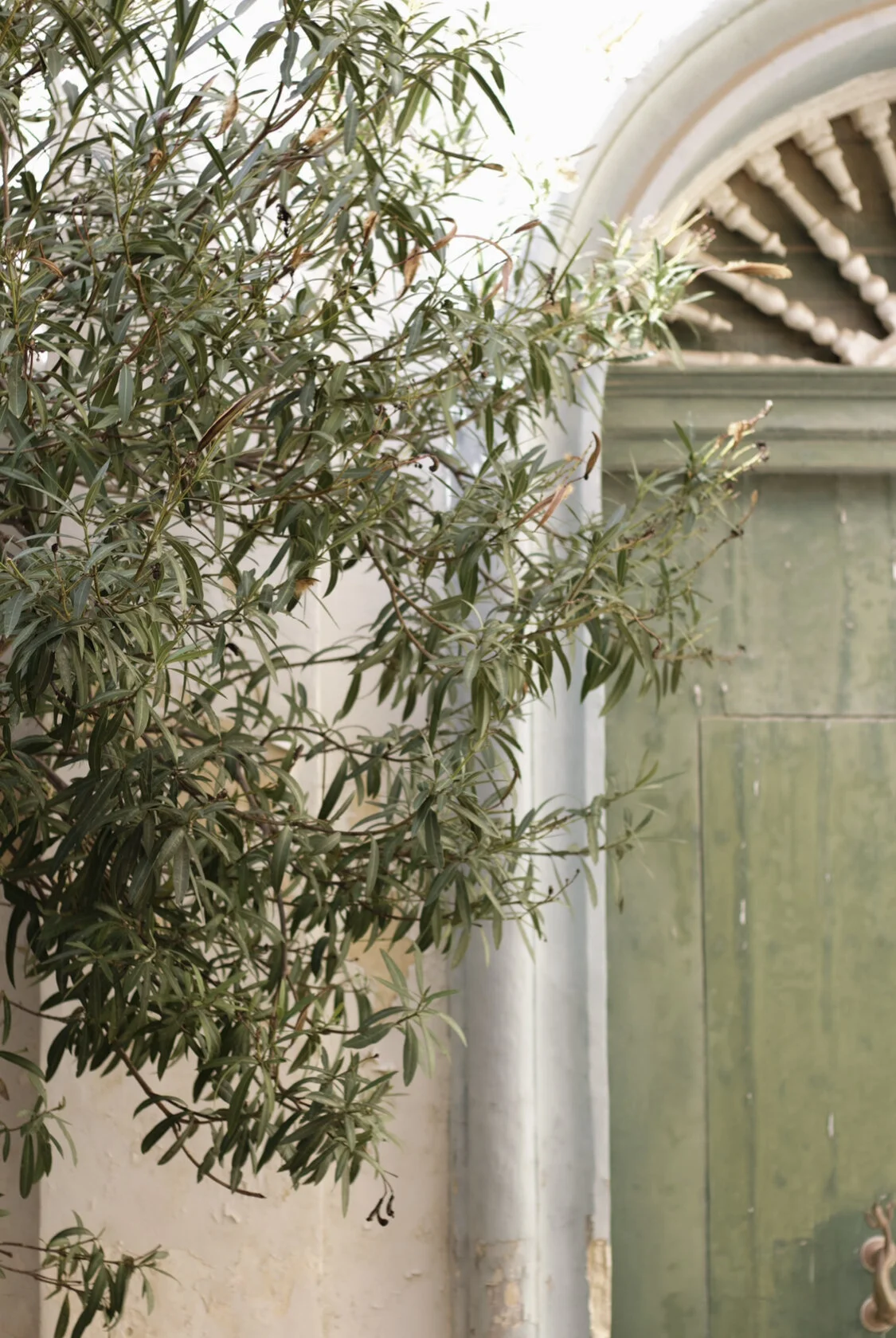 Some Accounts I’ve Been Loving Lately