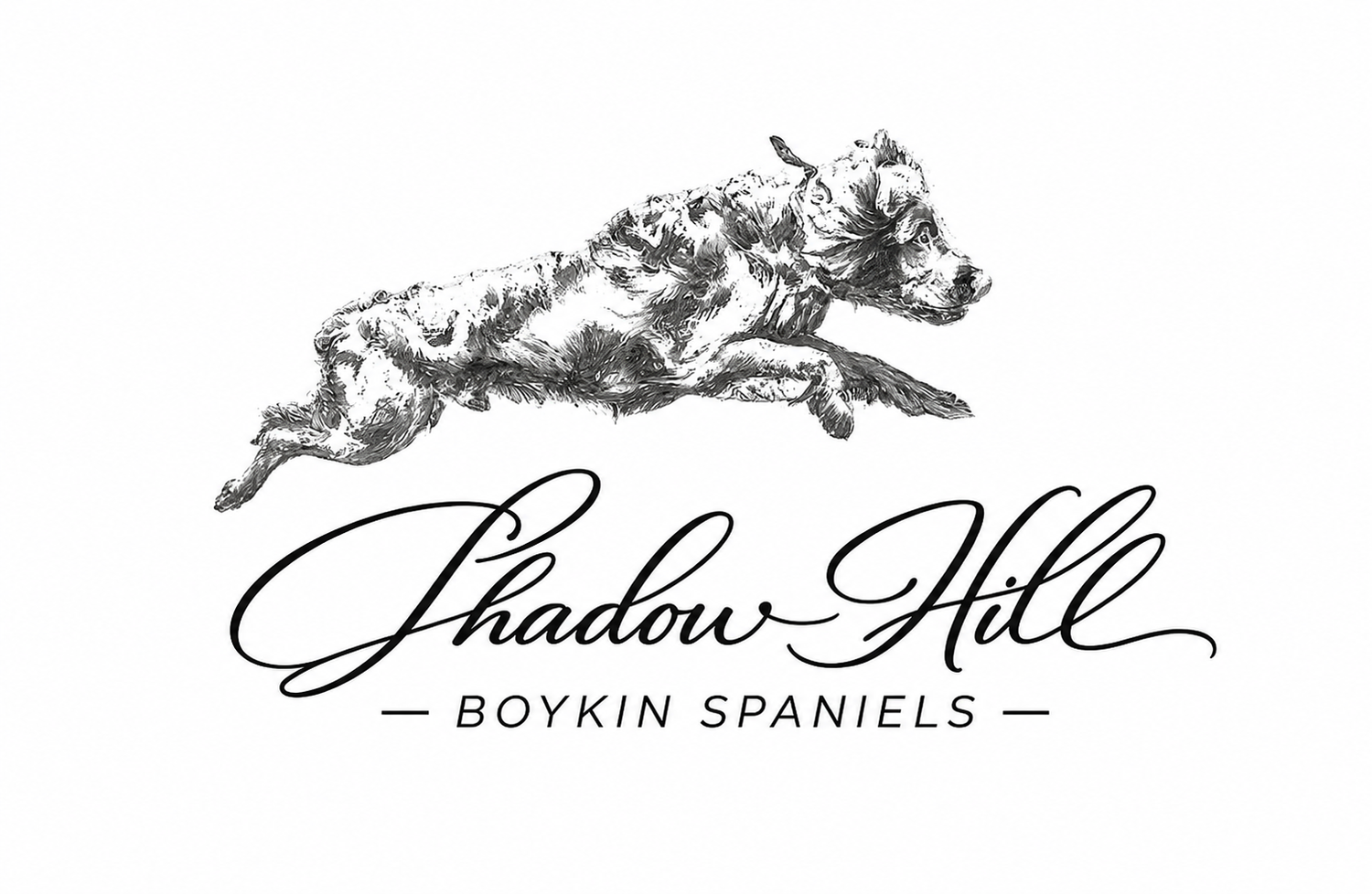Shadow Hill Boykin Spaniels