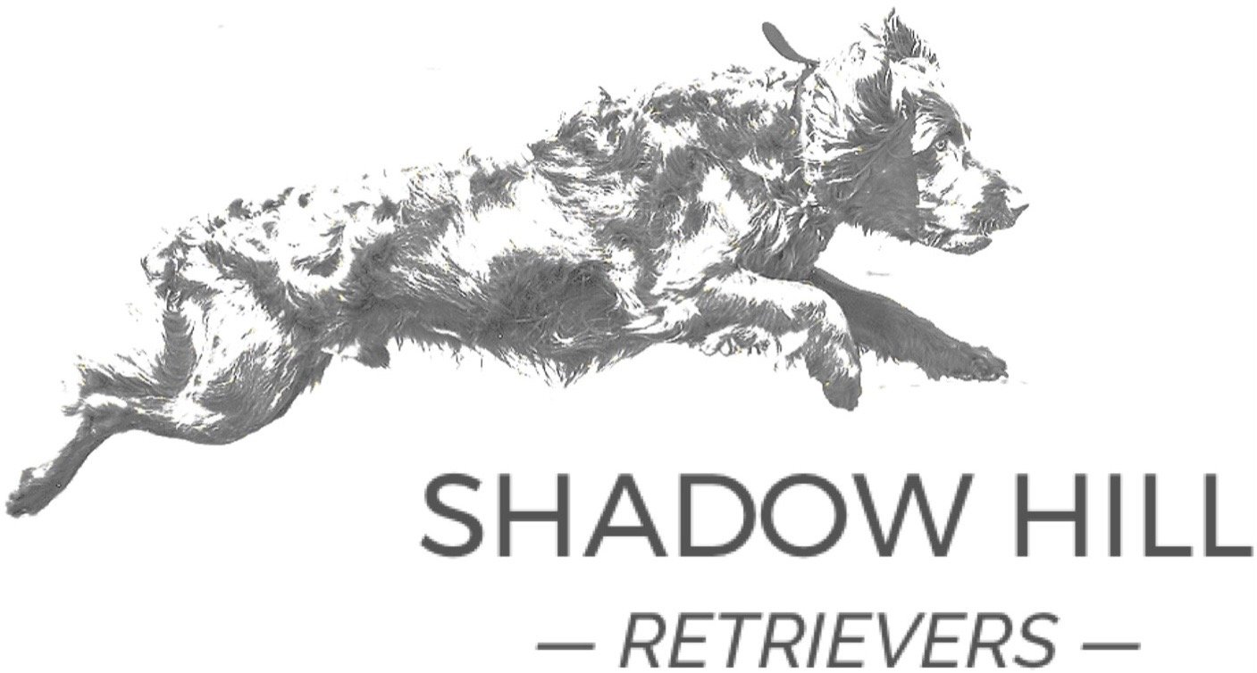 Shadow Hill Retrievers