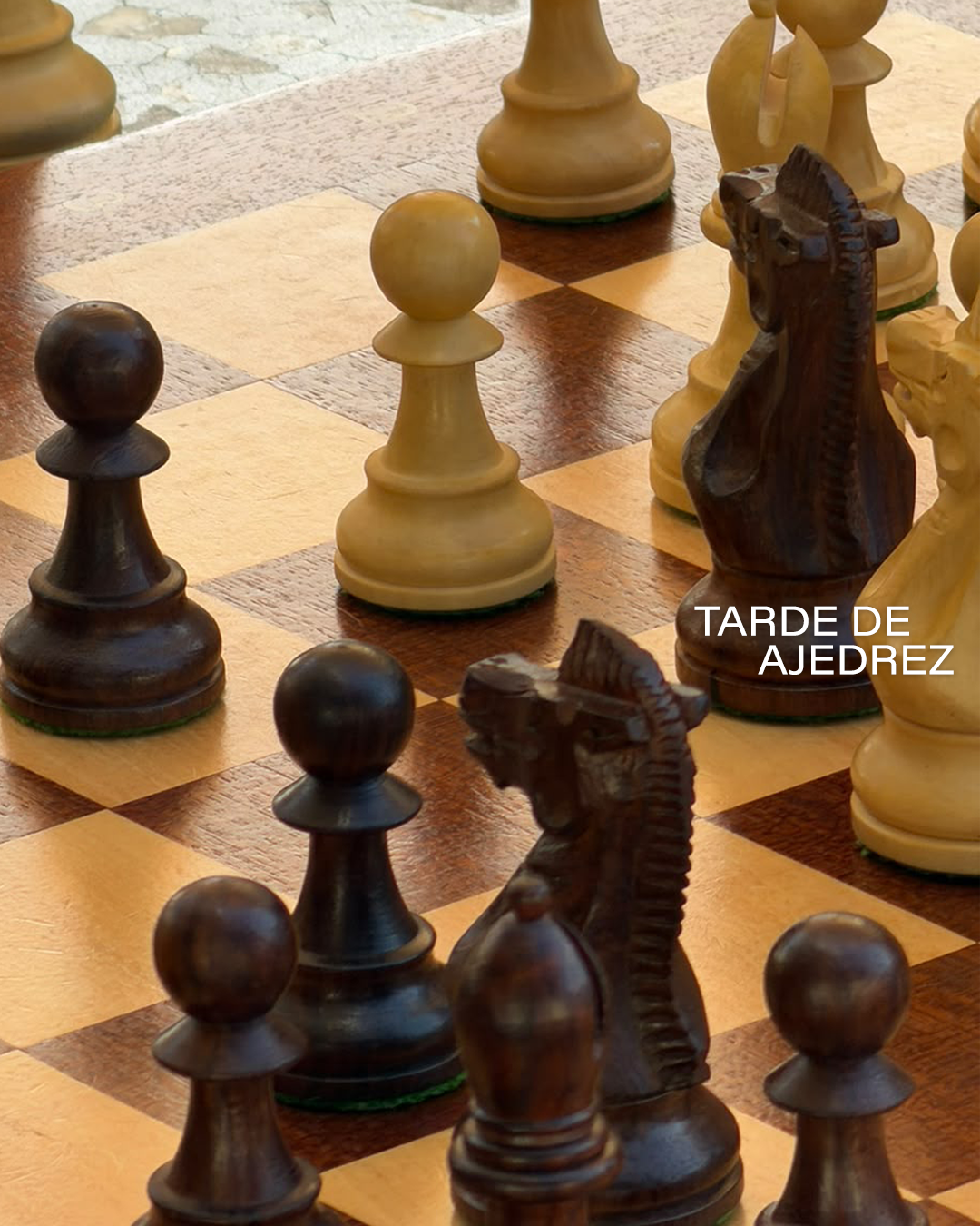TARDES DE AJEDREZ