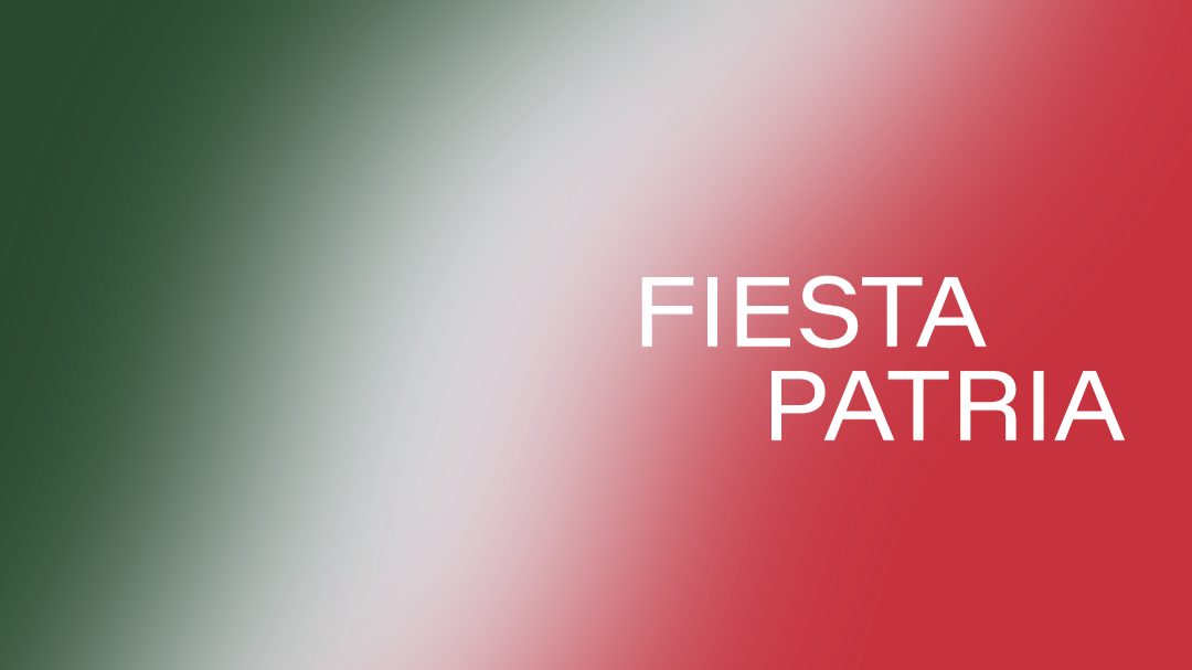 FIESTA PATRIA