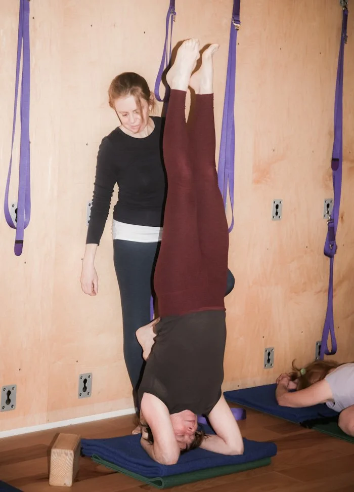 Best Yoga in Santa Monica