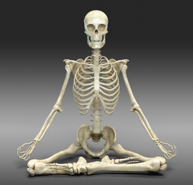 Best yoga in Los Angeles