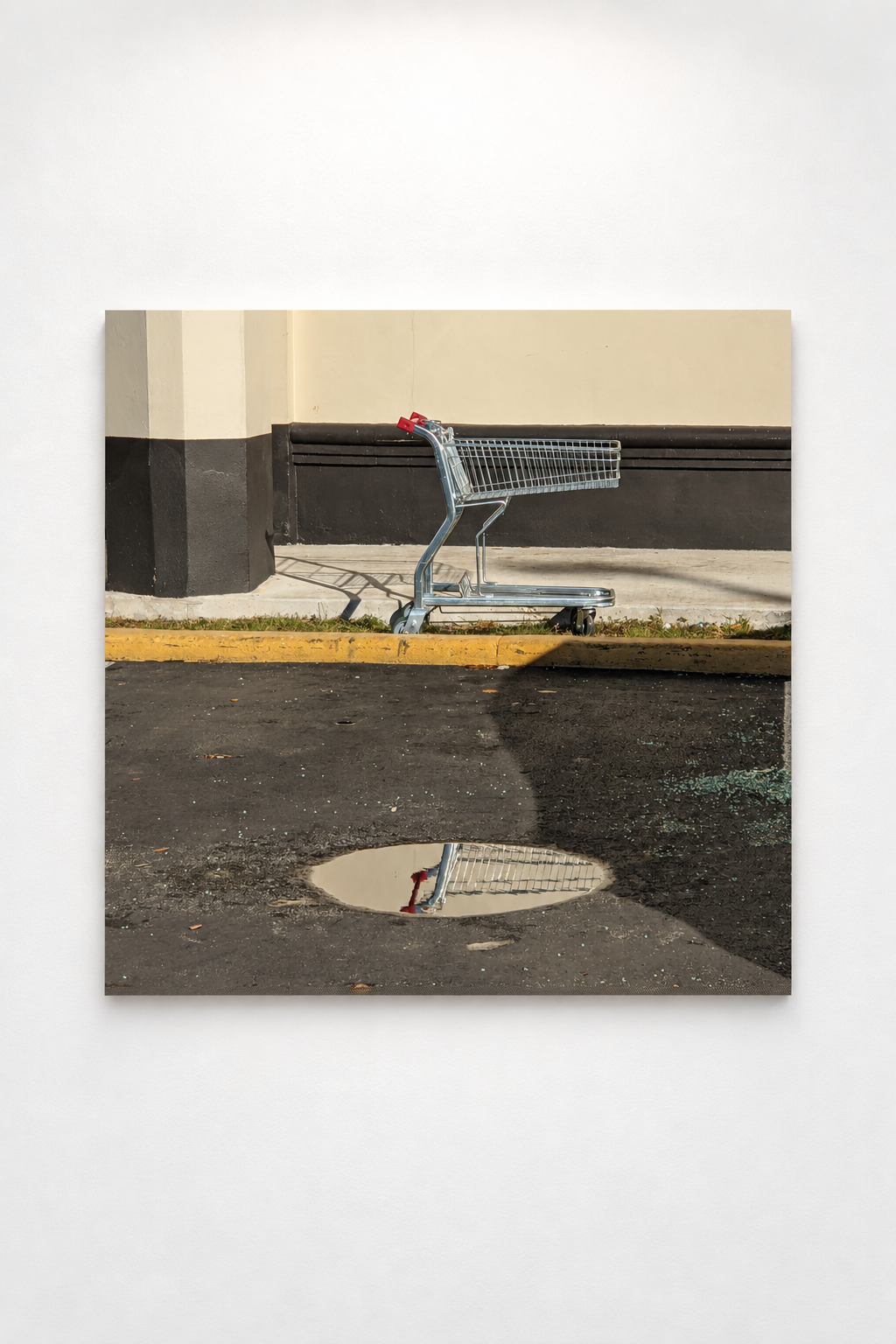Shopping Cart Reflection by a Yellow Curb.png