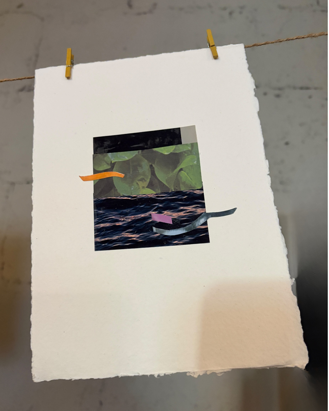 Small image collage 4, 2026.png