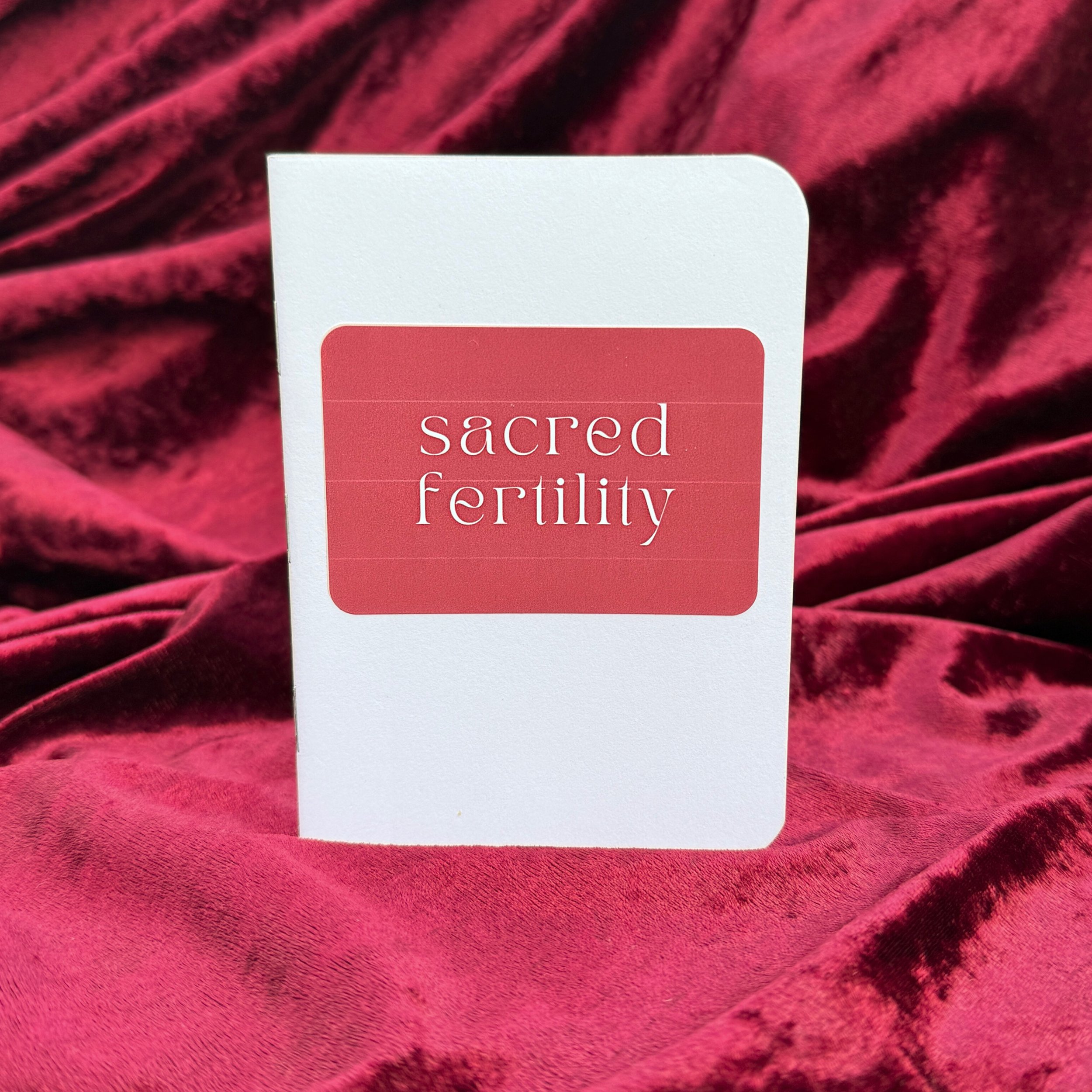 Product shoot edits 1225 - 14.jpeg