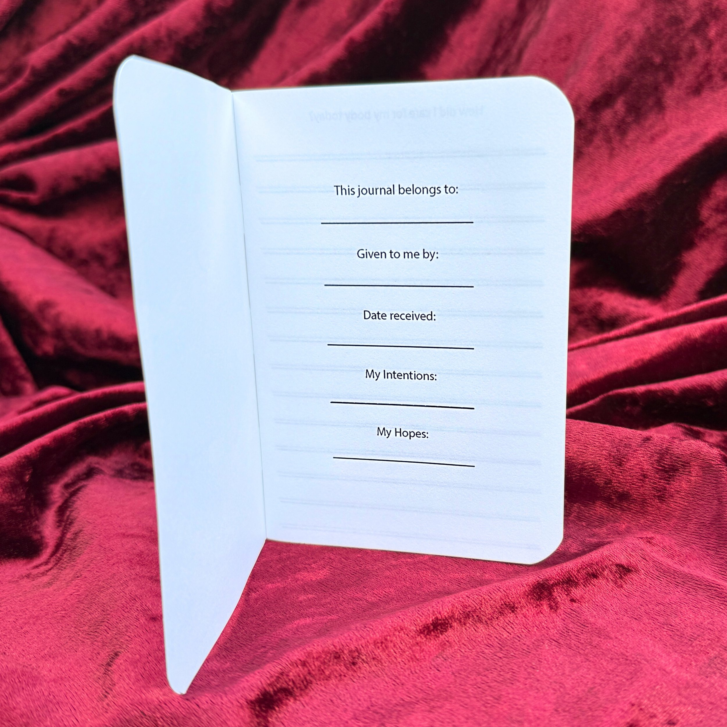 Product shoot edits 1225 - 12.jpeg